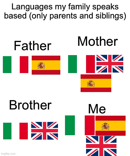 Languages my family speaks based (only parents and siblings); Father; Mother; Brother; Me | image tagged in msmg | made w/ Imgflip meme maker