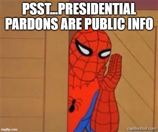 psst spiderman | PSST...PRESIDENTIAL PARDONS ARE PUBLIC INFO | image tagged in psst spiderman | made w/ Imgflip meme maker