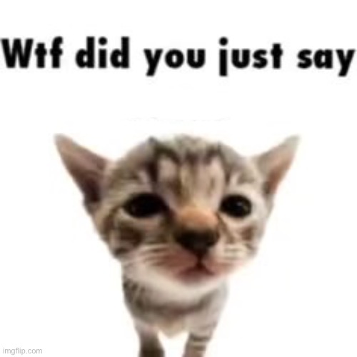 What the hell | image tagged in what the hell | made w/ Imgflip meme maker