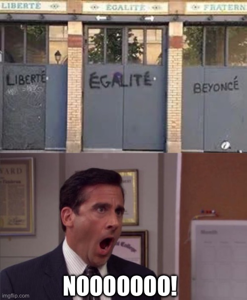 Happy Bastille Day | NOOOOOOO! | image tagged in noooooo,bastille,liberty,equality,brothers,beyonce | made w/ Imgflip meme maker