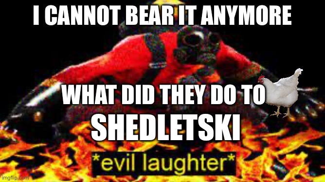 *evil laughter* | I CANNOT BEAR IT ANYMORE WHAT DID THEY DO TO SHEDLETSKI | image tagged in evil laughter | made w/ Imgflip meme maker