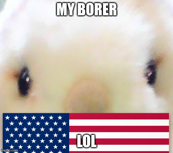 0_0_0_0 | MY BORER; LOL | image tagged in lol | made w/ Imgflip meme maker
