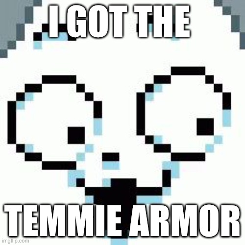 Temmie | I GOT THE; TEMMIE ARMOR | image tagged in temmie | made w/ Imgflip meme maker