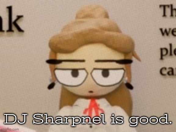 judgement. | DJ Sharpnel is good. | image tagged in judgement | made w/ Imgflip meme maker