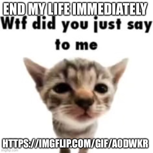 What the hell | END MY LIFE IMMEDIATELY; HTTPS://IMGFLIP.COM/GIF/A0DWKR | image tagged in what the hell | made w/ Imgflip meme maker
