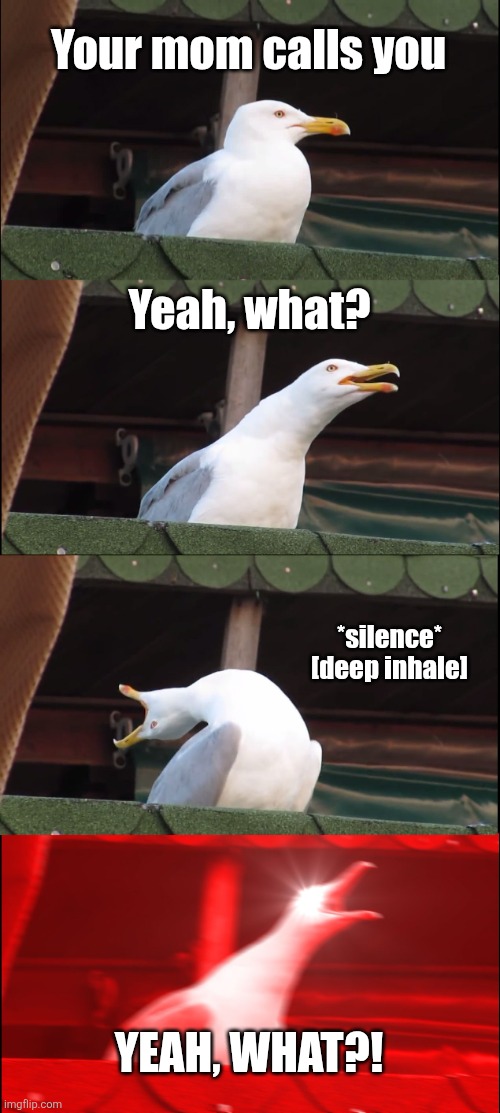Inhaling Seagull Meme | Your mom calls you; Yeah, what? *silence* [deep inhale]; YEAH, WHAT?! | image tagged in memes,inhaling seagull | made w/ Imgflip meme maker