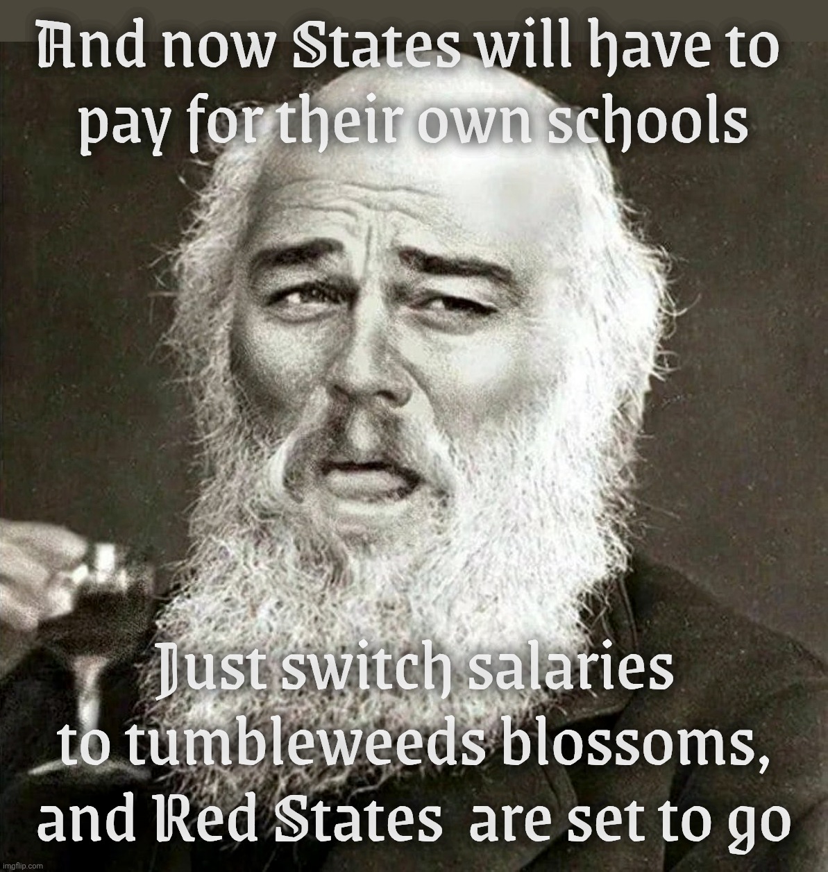 No more Board of Education. Let's see how far Red States get without Blue State financial support | And now States will have to 
pay for their own schools Just switch salaries to tumbleweeds blossoms,
and Red States  are set to go | image tagged in laughing leonardo decaprio django darwin,board of education,no more board of education,pay your own bills,tumbleweed salaries | made w/ Imgflip meme maker