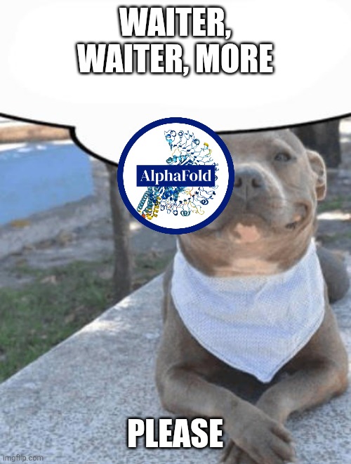 Waiter more x please | WAITER, WAITER, MORE; PLEASE | image tagged in waiter more x please | made w/ Imgflip meme maker