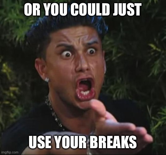 DJ Pauly D Meme | OR YOU COULD JUST USE YOUR BREAKS | image tagged in memes,dj pauly d | made w/ Imgflip meme maker