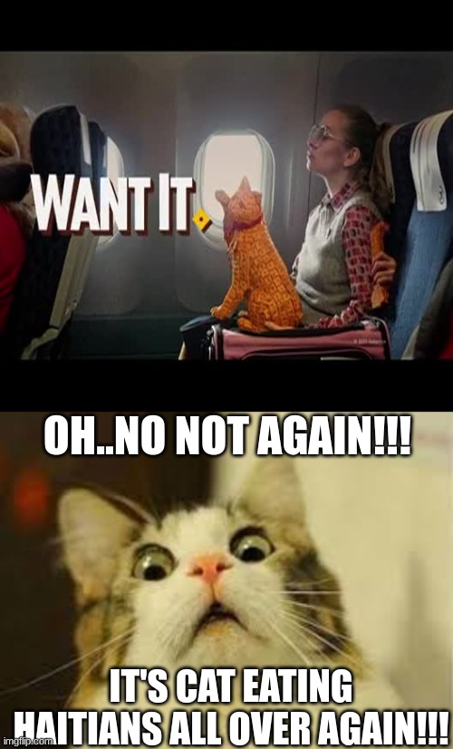 cheeze it cat vs scared cats | OH..NO NOT AGAIN!!! IT'S CAT EATING HAITIANS ALL OVER AGAIN!!! | image tagged in cheeze it,scared cat,haitians,eating cats | made w/ Imgflip meme maker