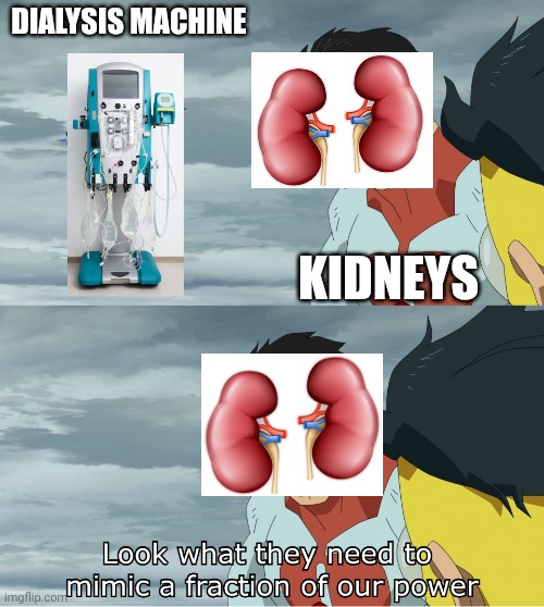 Look What They Need To Mimic A Fraction Of Our Power | DIALYSIS MACHINE; KIDNEYS | image tagged in look what they need to mimic a fraction of our power | made w/ Imgflip meme maker