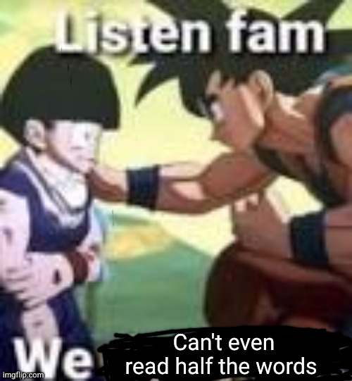 Listen fam we dont care | Can't even read half the words | image tagged in listen fam we dont care | made w/ Imgflip meme maker