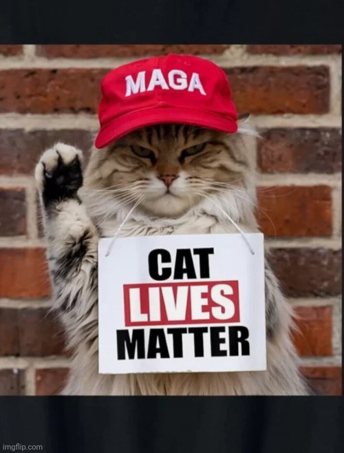 Don't let them eat me | image tagged in stop it,illegal aliens,stupid criminals,savage,maga,save me | made w/ Imgflip meme maker