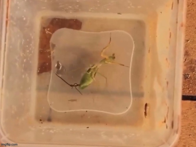 I'll give you a moment to spot what's wrong in this image | made w/ Imgflip meme maker