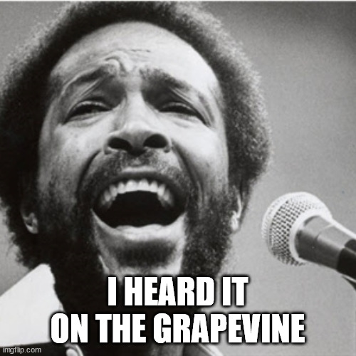 Marvin Gaye | I HEARD IT ON THE GRAPEVINE | image tagged in marvin gaye | made w/ Imgflip meme maker