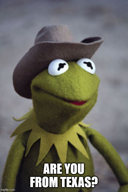 Texas Kermit | ARE YOU FROM TEXAS? | image tagged in texas kermit | made w/ Imgflip meme maker