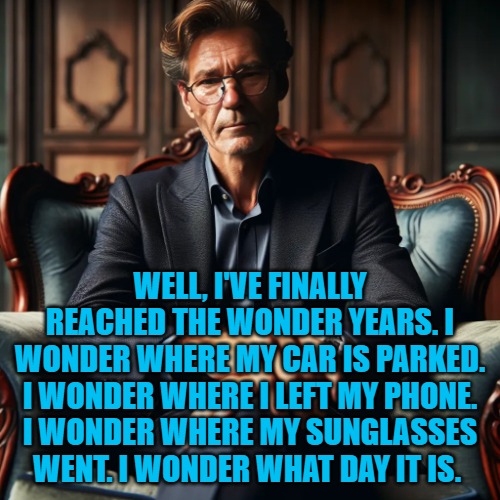 kewlew high dollar | WELL, I'VE FINALLY REACHED THE WONDER YEARS. I WONDER WHERE MY CAR IS PARKED. I WONDER WHERE I LEFT MY PHONE. I WONDER WHERE MY SUNGLASSES WENT. I WONDER WHAT DAY IT IS. | image tagged in kewlew high dollar | made w/ Imgflip meme maker