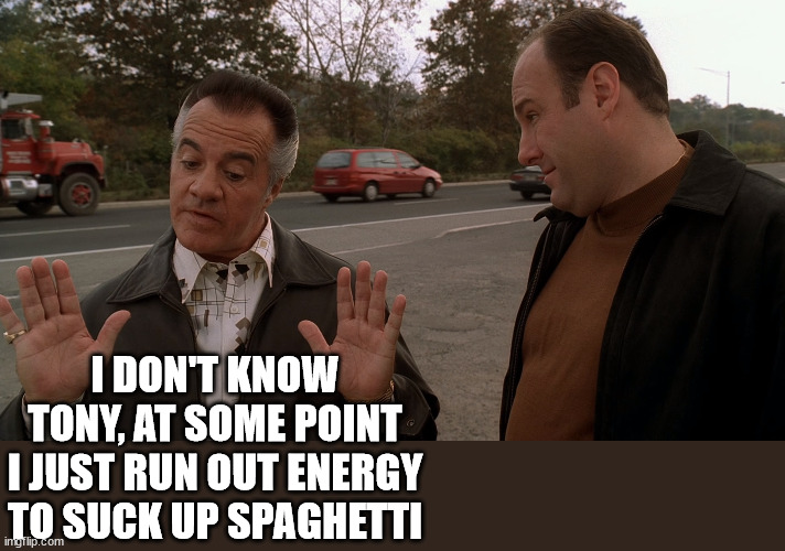 Paulie Talks with the Italian Hands to Tony Soprano | I DON'T KNOW TONY, AT SOME POINT I JUST RUN OUT ENERGY TO SUCK UP SPAGHETTI | image tagged in paulie talks with the italian hands to tony soprano | made w/ Imgflip meme maker