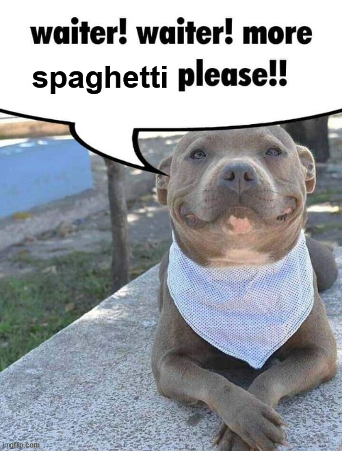 Waiter! Waiter! More toddlers please! | spaghetti | image tagged in waiter waiter more toddlers please | made w/ Imgflip meme maker