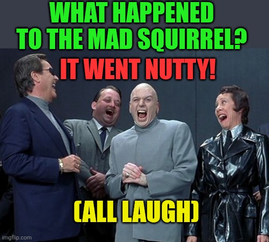 Laughing Villains | WHAT HAPPENED TO THE MAD SQUIRREL? IT WENT NUTTY! (ALL LAUGH) | image tagged in memes,laughing villains,jokes,squirrels | made w/ Imgflip meme maker