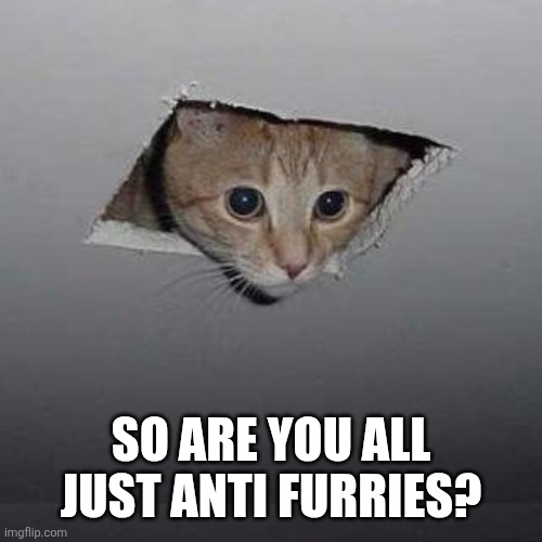 Bruh just found this sub | SO ARE YOU ALL JUST ANTI FURRIES? | image tagged in memes,ceiling cat | made w/ Imgflip meme maker