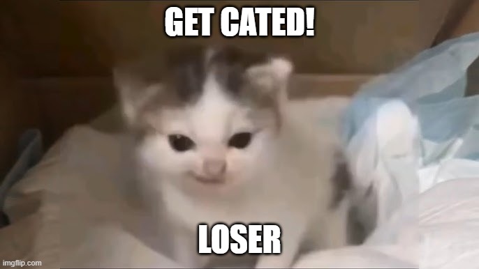 GET CATED! | GET CATED! LOSER | image tagged in kitty | made w/ Imgflip meme maker