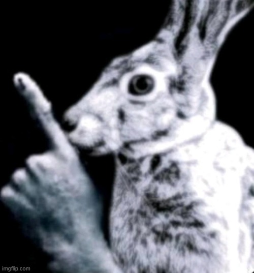 silence at once | image tagged in rabbit | made w/ Imgflip meme maker