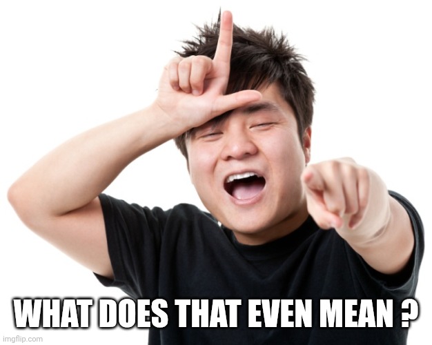 You're a loser | WHAT DOES THAT EVEN MEAN ? | image tagged in you're a loser | made w/ Imgflip meme maker