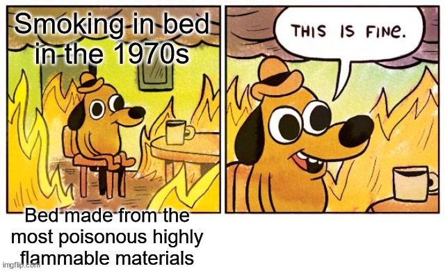 This Is Fine Meme | Smoking in bed
in the 1970s Bed made from the most poisonous highly flammable materials | image tagged in memes,this is fine | made w/ Imgflip meme maker
