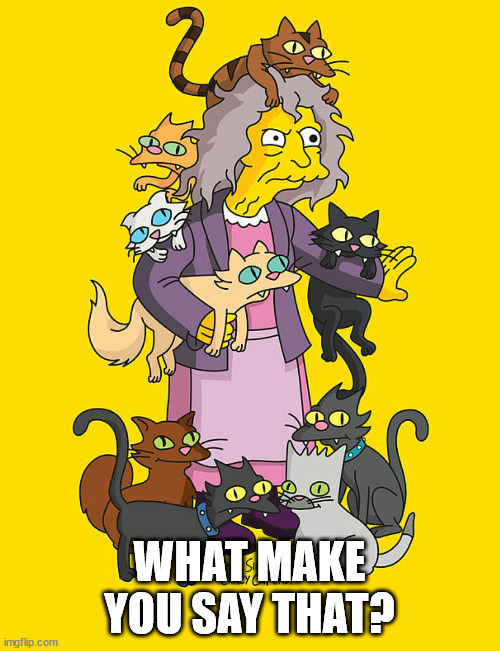 Crazy Cat Lady | WHAT MAKE YOU SAY THAT? | image tagged in crazy cat lady | made w/ Imgflip meme maker