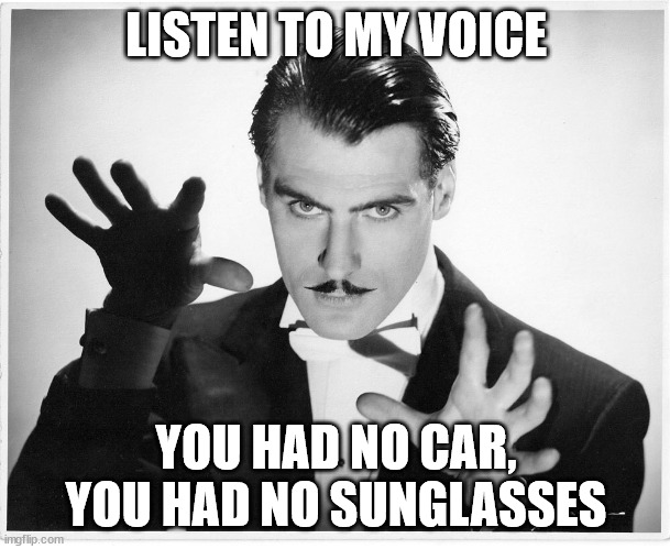 Hypnotist | LISTEN TO MY VOICE YOU HAD NO CAR, YOU HAD NO SUNGLASSES | image tagged in hypnotist | made w/ Imgflip meme maker