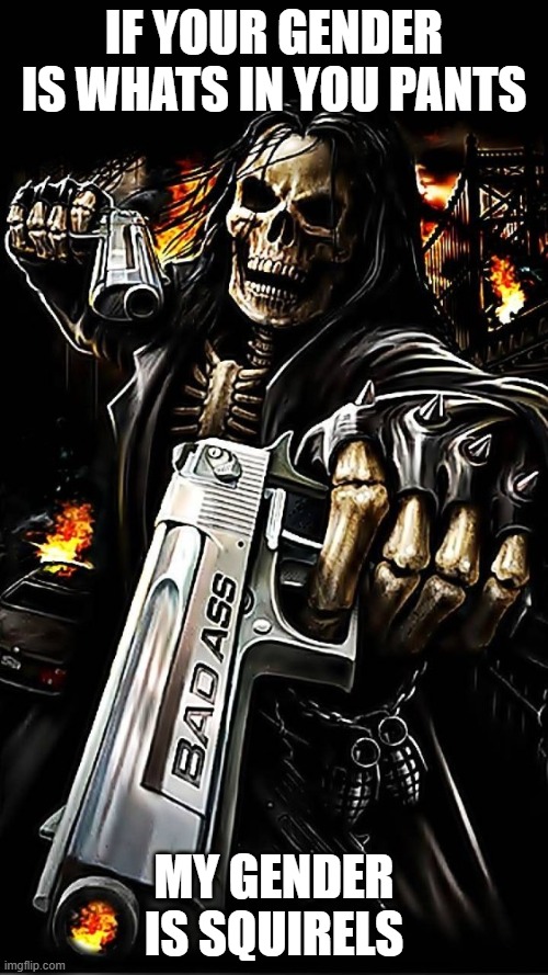 Bad ass skeleton with gun | IF YOUR GENDER IS WHATS IN YOU PANTS; MY GENDER IS SQUIRELS | image tagged in bad ass skeleton with gun | made w/ Imgflip meme maker