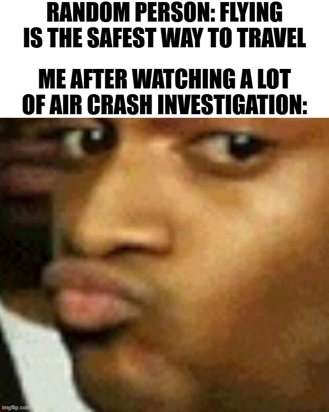 my lack of trust of air travelling | RANDOM PERSON: FLYING IS THE SAFEST WAY TO TRAVEL; ME AFTER WATCHING A LOT OF AIR CRASH INVESTIGATION: | image tagged in skeptical duck face,airplanes,air crash investigation | made w/ Imgflip meme maker