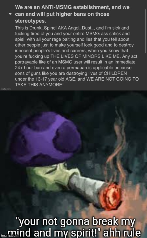 "your not gonna break my mind and my spirit!" ahh rule | image tagged in bait used to be believable puffshroom | made w/ Imgflip meme maker