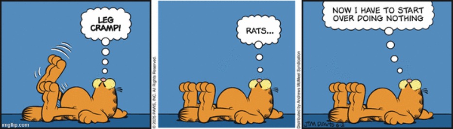 Garfield | image tagged in comics | made w/ Imgflip meme maker