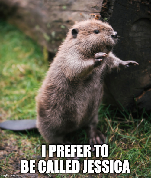 Beaver | I PREFER TO BE CALLED JESSICA | image tagged in beaver | made w/ Imgflip meme maker
