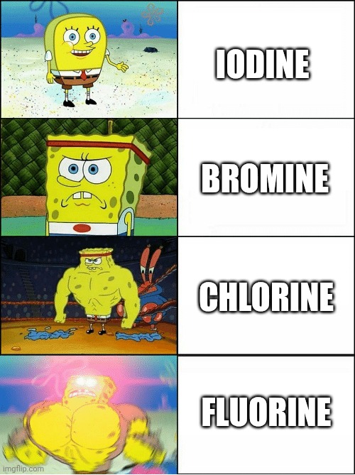 Halogens | IODINE; BROMINE; CHLORINE; FLUORINE | image tagged in sponge finna commit muder | made w/ Imgflip meme maker