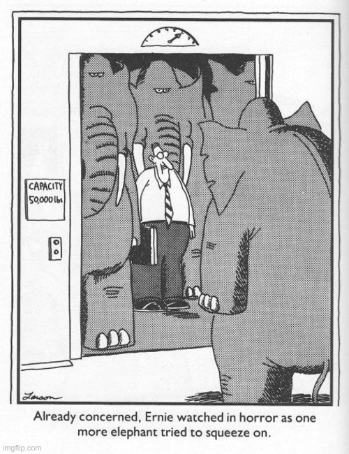 The Far Side | image tagged in comics,the far side,elephants | made w/ Imgflip meme maker