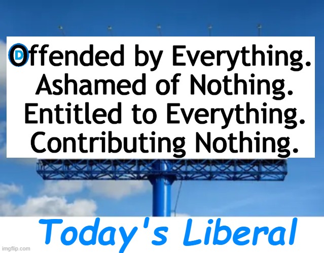 Here's Your Sign, Seething Liberals. | Offended by Everything. 
Ashamed of Nothing.
Entitled to Everything.
Contributing Nothing. Today's Liberal | image tagged in political humor,reality,today,embarrassing,give me a sign,intolerance | made w/ Imgflip meme maker