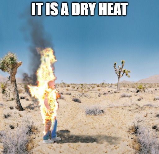 Dry Heat | IT IS A DRY HEAT | image tagged in dry heat | made w/ Imgflip meme maker