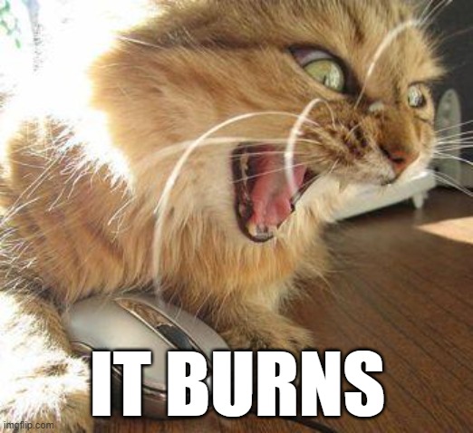 angry cat | IT BURNS | image tagged in angry cat | made w/ Imgflip meme maker