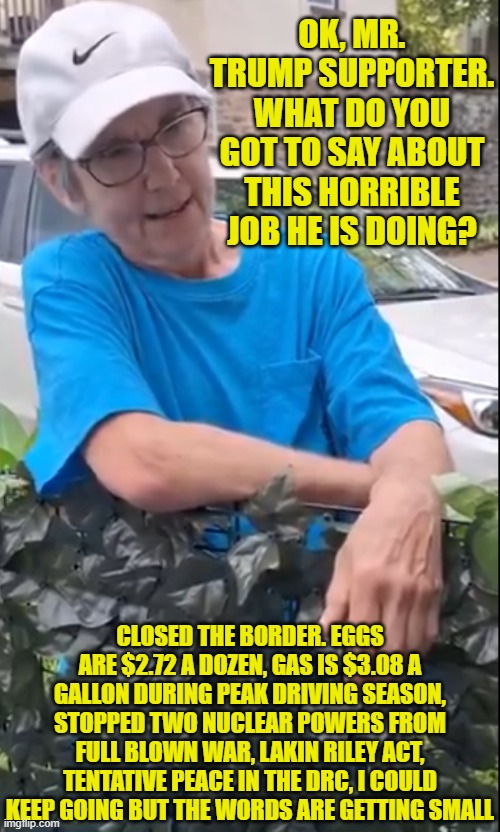 Ok, Mr Trump Supporter | OK, MR. TRUMP SUPPORTER. WHAT DO YOU GOT TO SAY ABOUT THIS HORRIBLE JOB HE IS DOING? CLOSED THE BORDER. EGGS ARE $2.72 A DOZEN, GAS IS $3.08 A GALLON DURING PEAK DRIVING SEASON, STOPPED TWO NUCLEAR POWERS FROM FULL BLOWN WAR, LAKIN RILEY ACT, TENTATIVE PEACE IN THE DRC, I COULD KEEP GOING BUT THE WORDS ARE GETTING SMALL | image tagged in kamala harris,maga,donald trump,potus,tds,trump derangement syndrome | made w/ Imgflip meme maker