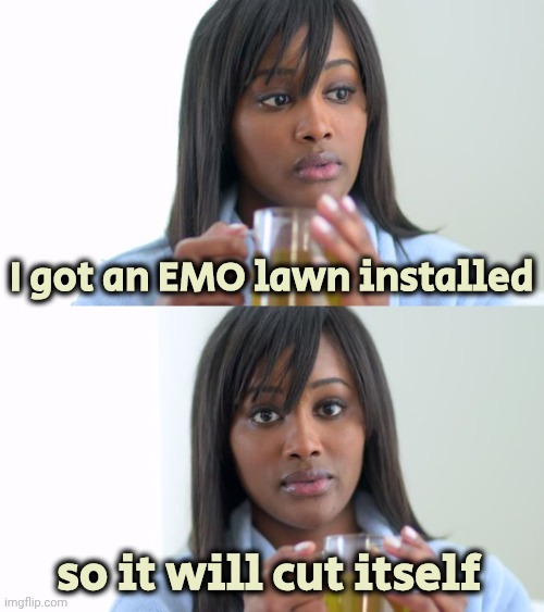 Such a Time Saver | I got an EMO lawn installed; so it will cut itself | image tagged in black woman drinking tea 2 panels,touch grass,smoke grass,don't worry be happy,lawnmower,get off my lawn | made w/ Imgflip meme maker