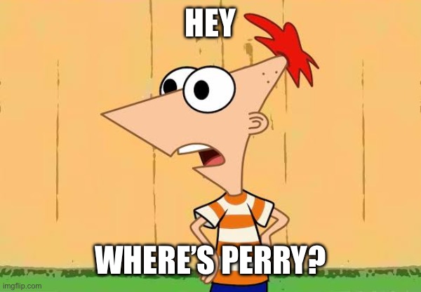 Oigan, ¿ y Perry? | HEY WHERE’S PERRY? | image tagged in oigan y perry | made w/ Imgflip meme maker