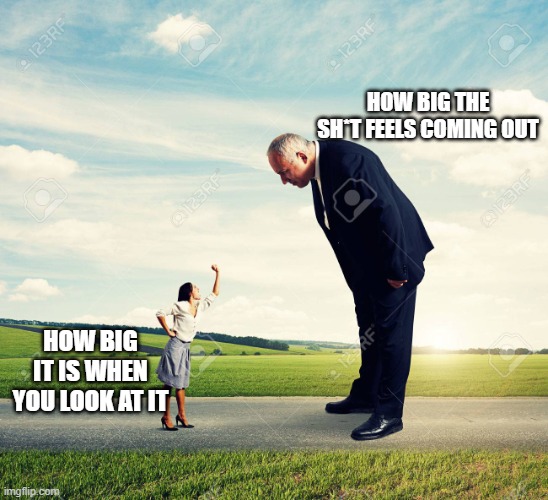 Not sure if this only happens to me but whatever... | HOW BIG THE SH*T FEELS COMING OUT; HOW BIG IT IS WHEN YOU LOOK AT IT | image tagged in big and little,poop,it's time to start asking yourself the big questions meme | made w/ Imgflip meme maker