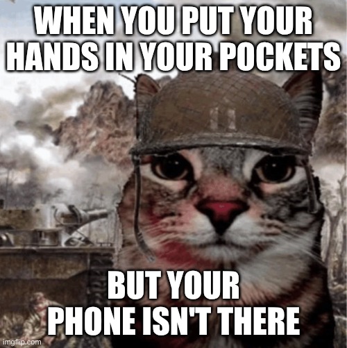 where did it go | WHEN YOU PUT YOUR HANDS IN YOUR POCKETS; BUT YOUR PHONE ISN'T THERE | image tagged in war cat | made w/ Imgflip meme maker