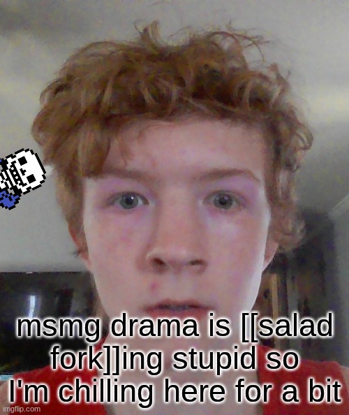 yes, this is a face reveal. I did it in msmg and that's how the drama started :D | msmg drama is [[salad fork]]ing stupid so I'm chilling here for a bit | image tagged in street rat ptsd | made w/ Imgflip meme maker