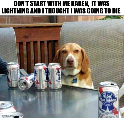 Don't Start With Me Karen | DON'T START WITH ME KAREN,  IT WAS LIGHTNING AND I THOUGHT I WAS GOING TO DIE | image tagged in chrisjoines1 | made w/ Imgflip meme maker