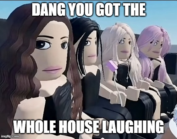 My First Template | DANG YOU GOT THE; WHOLE HOUSE LAUGHING | image tagged in 4 robloxian girls staring at the left side | made w/ Imgflip meme maker