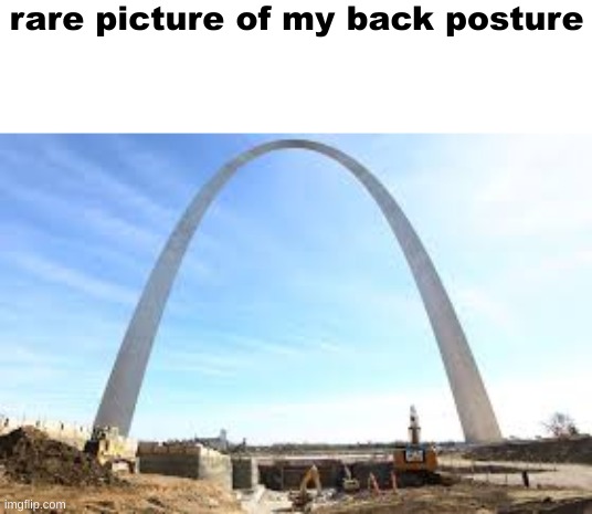 back posture | rare picture of my back posture | image tagged in memes,you have been eternally cursed for reading the tags,why are you reading the tags,why is the fbi here | made w/ Imgflip meme maker